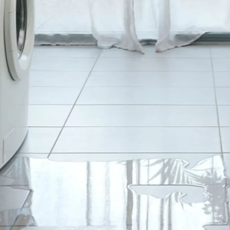 Appliance Leak Cleanup in Lafayette, LA