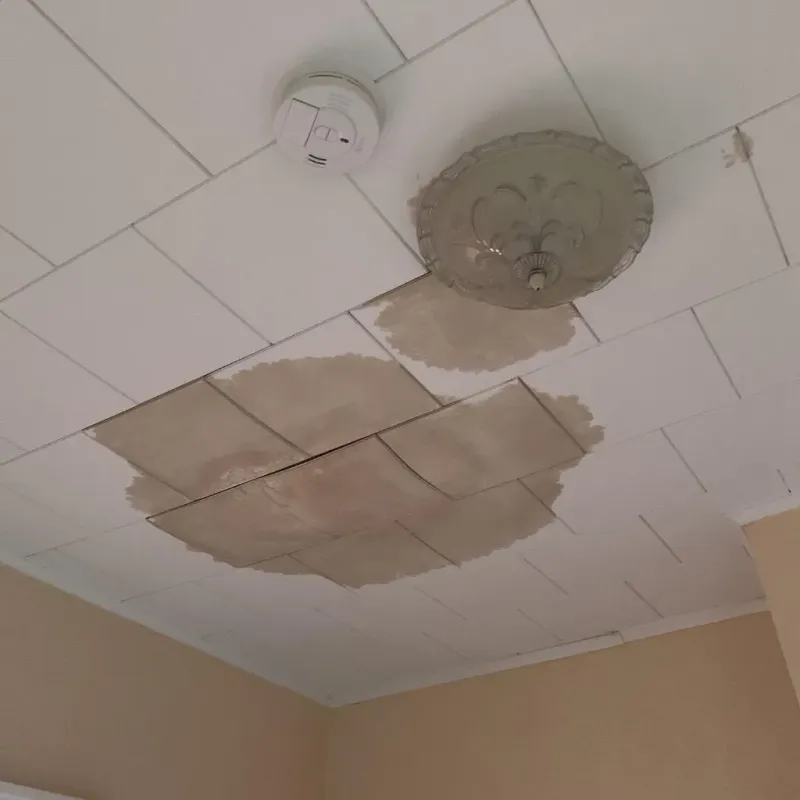 Ceiling Water Damage Repair in Lafayette, LA