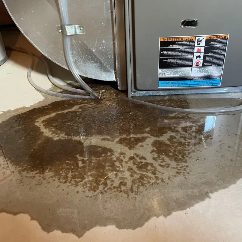 Pipe Burst and Leak Restoration in Lafayette, LA